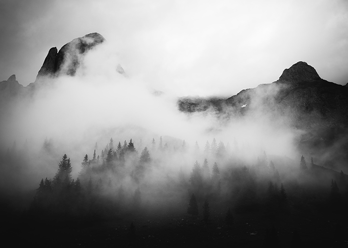 The Blog